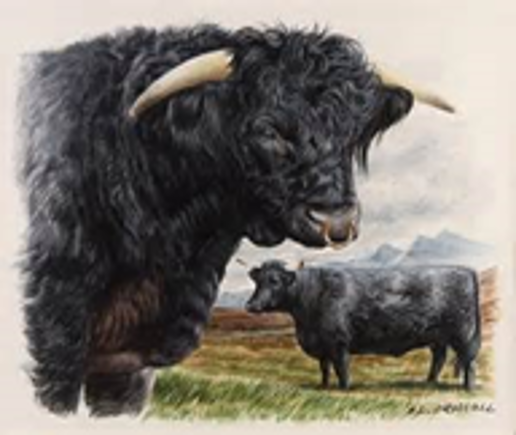 Moorhof der Familie Laars